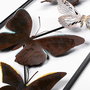 Wallity Tavus 2 Accesorio Decorativo de Pared de Metal Multicolor